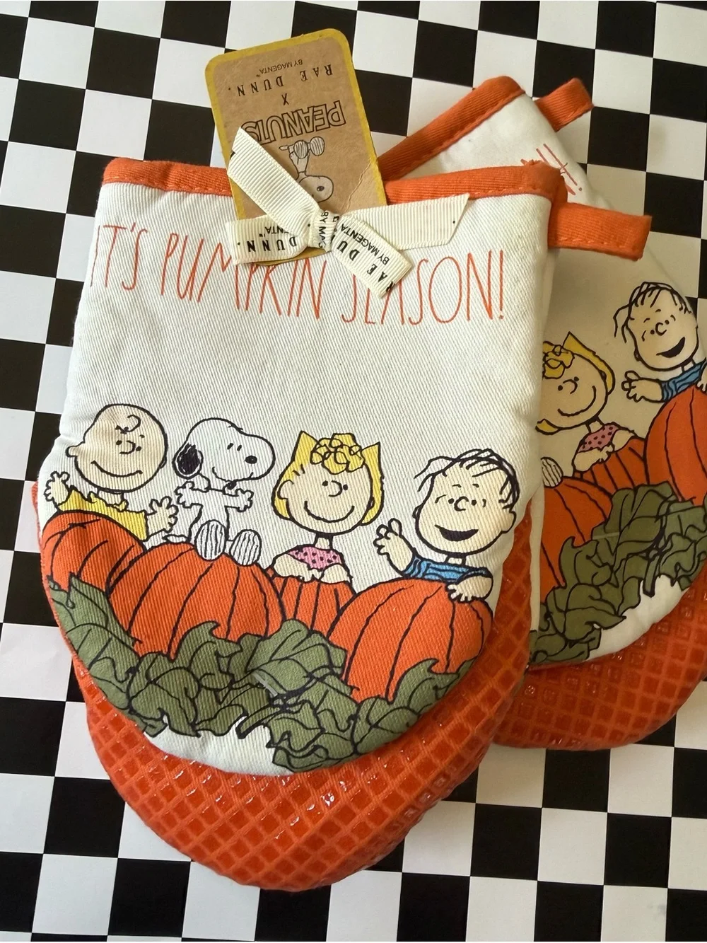 RAE DUNN Peanuts 'It's Pumpkin Season!' Oven Mitt Pair